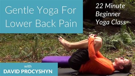 This pose elongates cervical spine and helps in strengthening the core, the lower back, and the hamstrings. Gentle Hatha Yoga for Lower Back Pain with David Procyshyn ...