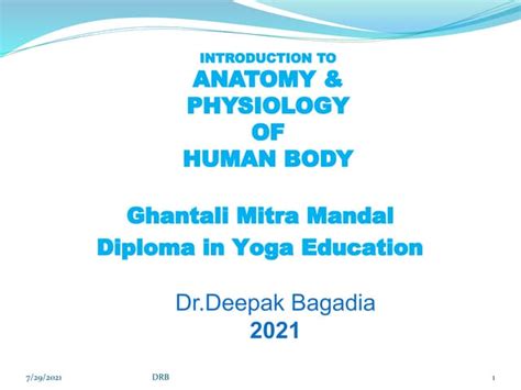 Basics Of Anatomy And Physiology Diploma 27 Ppt