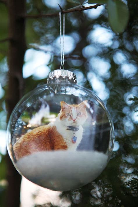 Diy Photo Ornaments Diy Photo Pets And Salts