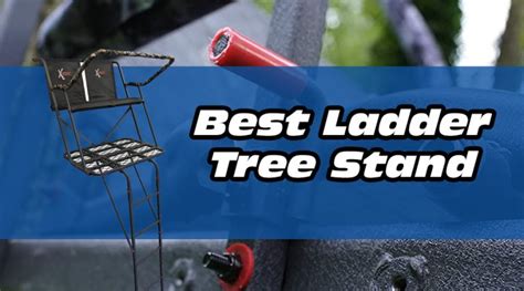 Best Ladder Tree Stand 2023 Review Most Comfortable Deer Treestands
