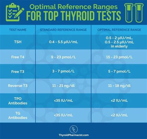 What Is A Good Thyroglobulin Level