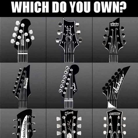 Which One Do You Own 🤔🎸 Comment Below 👇 📸guitarmemes Funny