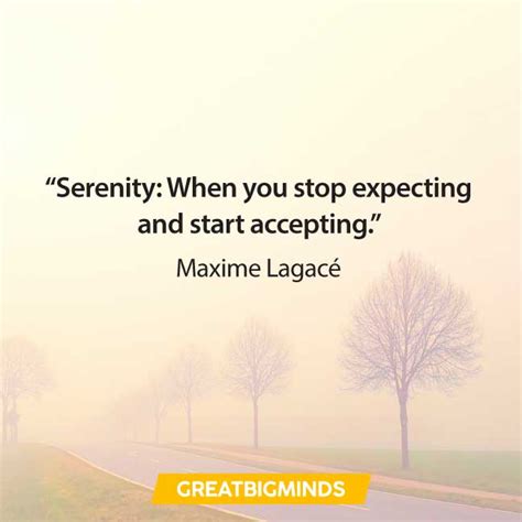 99 Best Serenity Quotes On Finding Peace And Love