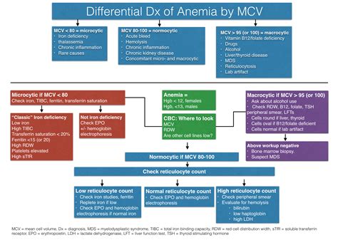 Anemia Tips And Tools For Diagnosis And Treatment The Curbsiders