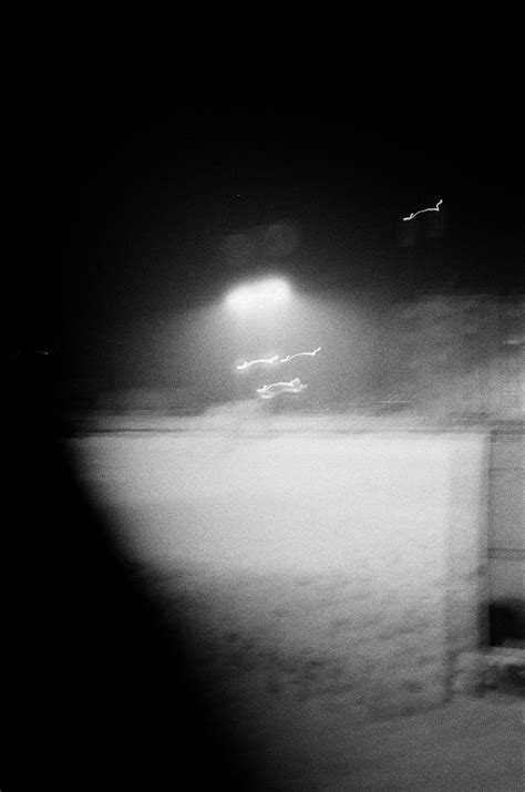 All That Remains - LIO - All That Remains - florschutz | OpenSea