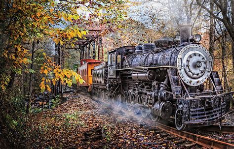 Trains Coming 1000 Piece Jigsaw Puzzle By Sunsout National Railroad