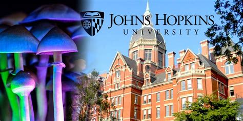 New Psychedelic Drugs Research Facility By Johns Hopkins University Is
