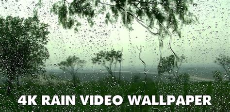 4k Rain Drops On Window Live Wallpaper For Pc How To Install On