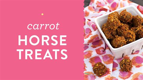 Easy Homemade Carrot Oat Molasses Horse Treats Cookies Youtube