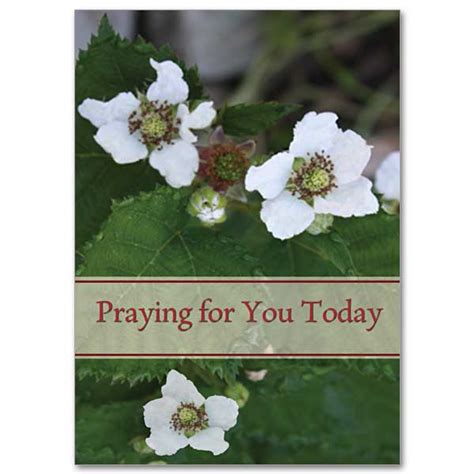 Shop now > use code: Praying for You Today: Praying for You Card