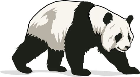 Panda Clipart Black White