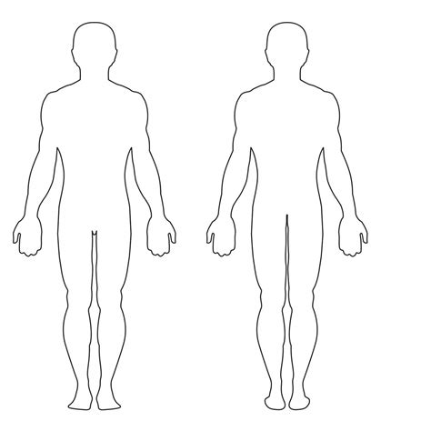 Blank Body Body Template Body Outline Human Body Diagram Throughout