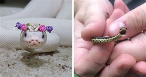 20 Adorable Snake Pics That Will Help You Conquer Your Fear