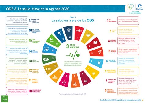 Objetivos De Desarrollo Sostenible 2030