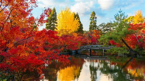 Colorful Spring Autumn Leafed Trees Bridge Above Pond Reflection On