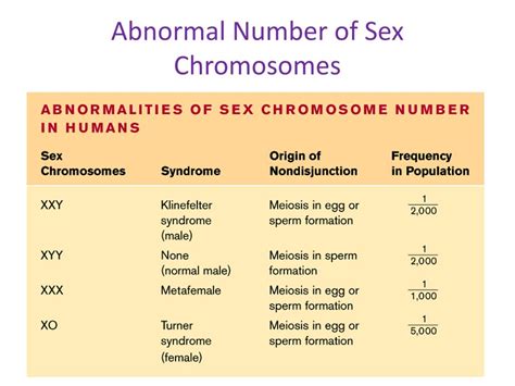 Ppt Chromosomal Number Abnormalities Powerpoint Sexiezpix Web Porn