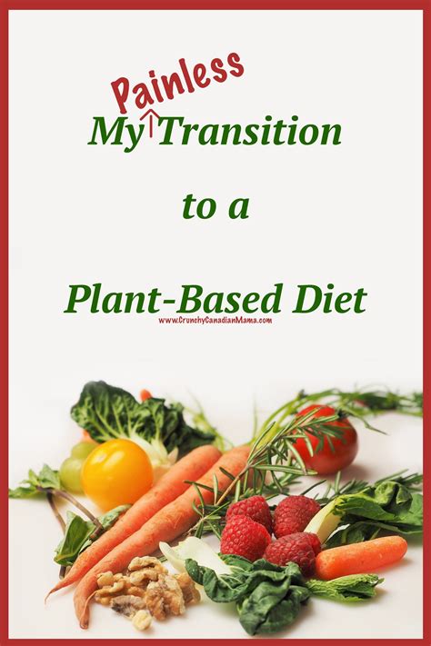 Is A Plant Based Diet More Healthy Healthy Vegan Diet Blog