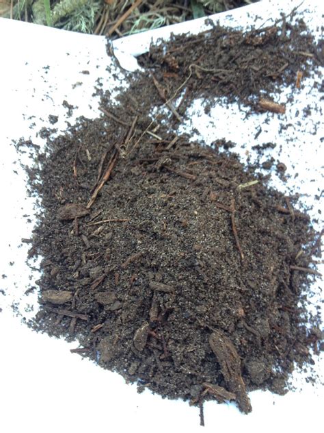 ◆ sandy soil particles are the biggest in size and resemble tiny stones. Soil Photo | a) Sandy Loam was the type of soil at my site ...