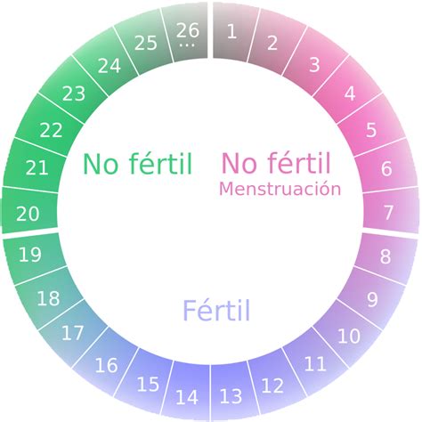 Tu Calendario Menstrual Herramienta Para Identificar Tus D As F Rtiles