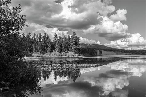 Thompson Lake In Black And White Photograph By Teresa Wilson Fine Art