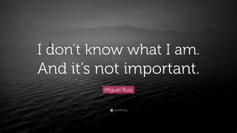 Miguel Ruiz Quote I Dont Know What I Am And Its Not Important