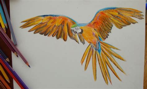 7 elemente fundamentale a desenului cu creionul. Creioane Colorate Desene în Creion