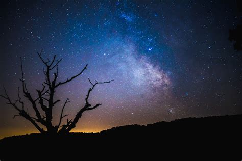Free Stock Photo Of Stars Night And Galaxy Over A Old Tree In