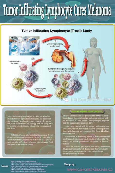 Tumor Infiltrating Lymphocyte Cures Melanoma Visual Ly