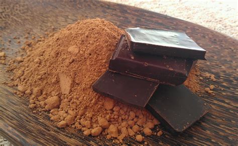Compounds In Chocolate Can Help Prevent Weight Gain And Type Ii Diabetes