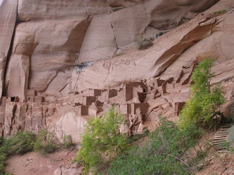 Natural Resources At Navajo National Monument Us National Park Service
