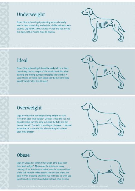 Dog Weight Chart From Underweight To Obese Download Printable Pdf