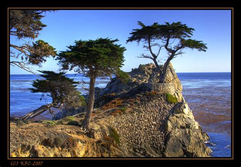 The Lone Cypress Seen On The 17 Mile Drive In Monterey Af Flickr