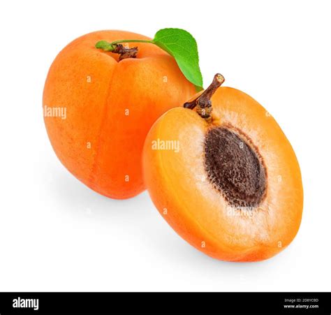 Apricot With Leaves Isolated On White Background Apricot Whole And A