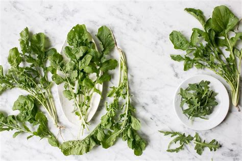 The Best Lettuces And Greens To Add To Your Salad Bowl
