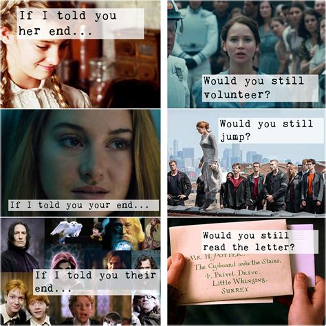 Hunger Games Memes Harry Potter