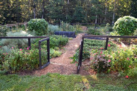 The Truth About Self Sufficiency On A Quarter Acre The Seasonal Homestead