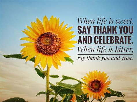 100 Beautiful Thankful Quotes Inspiring Quotes About Gratitude