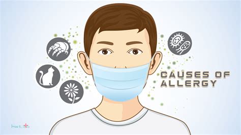 What Causes Allergy Symptoms And Causes