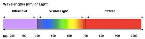 5 Best Wavelengths For Red Light Therapy A Science Backed Overview 2022