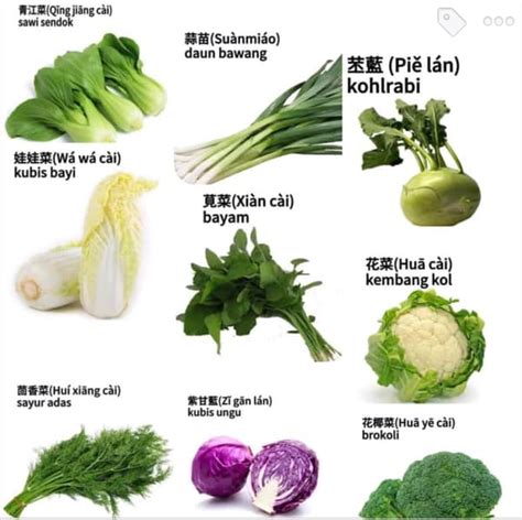 Materi ini mengajarkan nama dan jenis sayur mayur dalam bahasa mandarin, disertai juga penjelasan untuk mempermudah mengingatnya.dibuat: Sayur-sayuran dalam bahasa mandarin lengkap dengan ...
