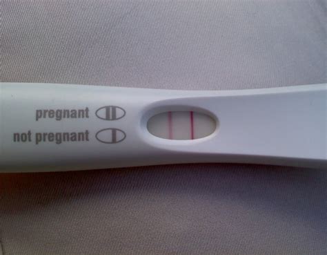 Prank Fake Working Positive Pregnancy Test Single Wrapped Stick Best Joke