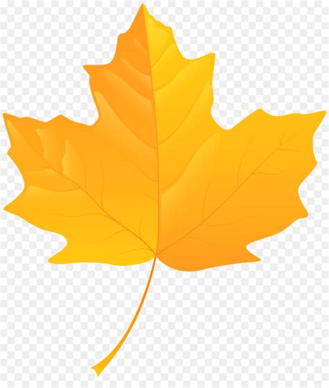 Yellow Maple Leaf Clipart 10 Free Cliparts Download Images On