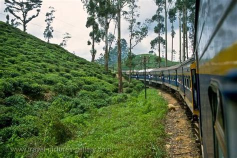 Sri Lanka Hill Country Trip Nuwara Eliya Train Travel