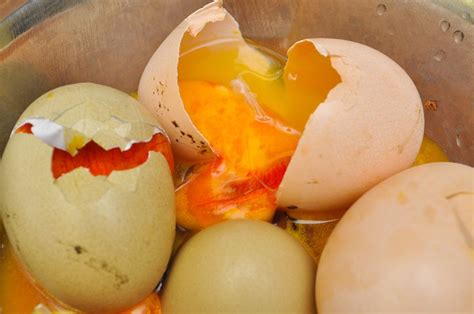 How To Tell If Eggs Are Bad 6 Ways To Check The Freshness Of Your Eggs