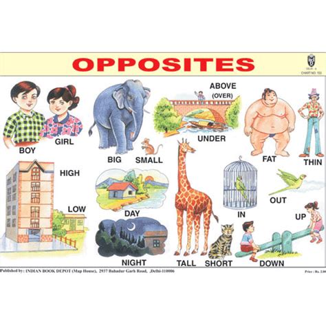 Opposites Chart Paper