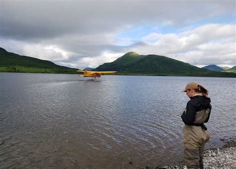 Wildlife Alaska Ranger Im Einsatz Staffel 1 Episodenguide