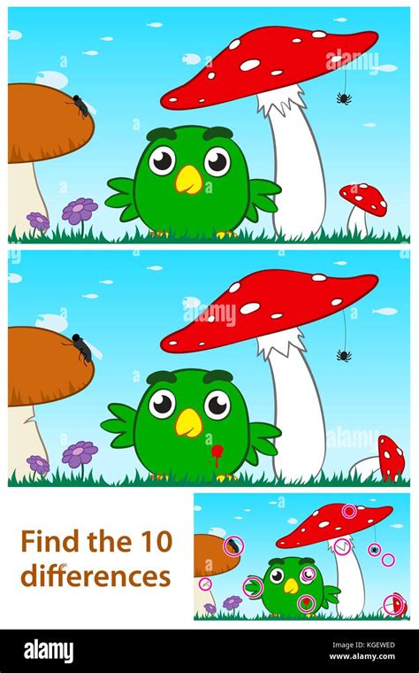 Spot The Difference Bird Stock Vector Images Alamy