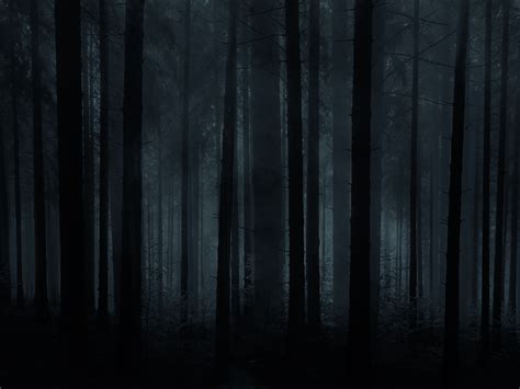 Dark Scary Forest Background