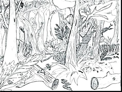 Printable Rainforest Coloring Pages At Free
