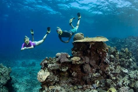 Where Is The Best Spot To See The Great Barrier Reef